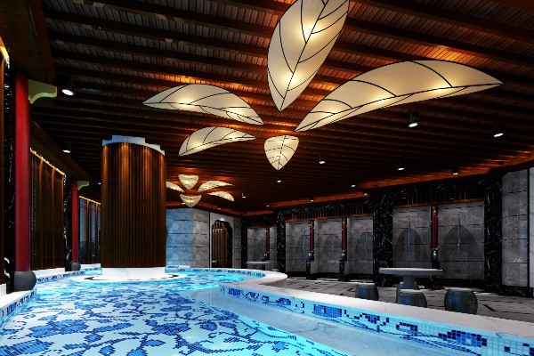 畅游巴国城，桑拿论坛养生秘籍大放送！